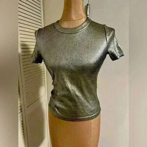 Metallic zara top